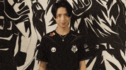 League Of Legends Lol GIF by G2 Esports
