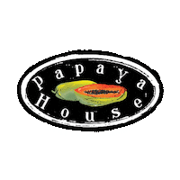 papayahouseexuma bahamas beach house exuma papayahouseexuma Sticker