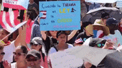 Puerto Rico Protests GIF by GIPHY News