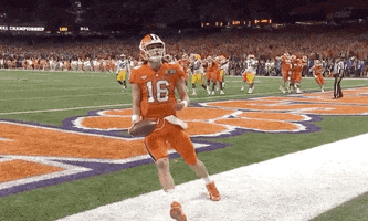 Clemson Tigers Football GIF by ESPN