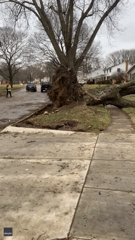 Tornado Leaves Behind Extensive Damage in Michigan