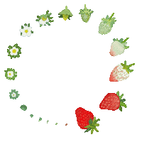 Growing Life Cycle Sticker