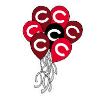 Happy Party Sticker by Colgate University