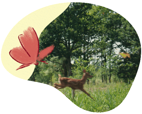Bambi Tier Sticker by Druck und Werte Creatives