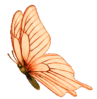 Butterfly Sticker