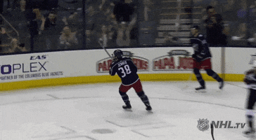 happy ice hockey GIF by NHL