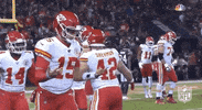 Regular Season Football GIF by NFL