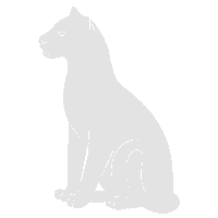 Jungle Leopard Sticker