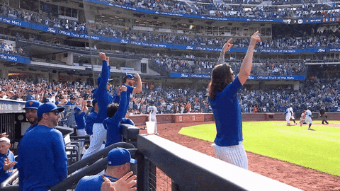 Jesse Winker Baseball GIF by New York Mets