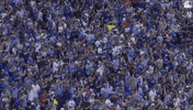 Celebrate Blue Jays GIF by Toronto Blue Jays