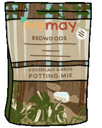 Plant Houseplant Sticker by IvyMay & Co.