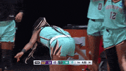 Happy New York Liberty GIF by WNBA
