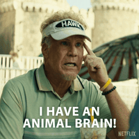Will Ferrell Eureka GIF by NETFLIX