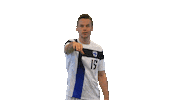 Sport Finland Sticker by Suomen jalkapallo- ja futsalmaajoukkueet