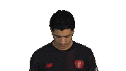 Look Up Bayer Leverkusen Sticker by Bundesliga