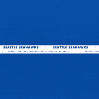 Football Nfl GIF by Seattle Seahawks