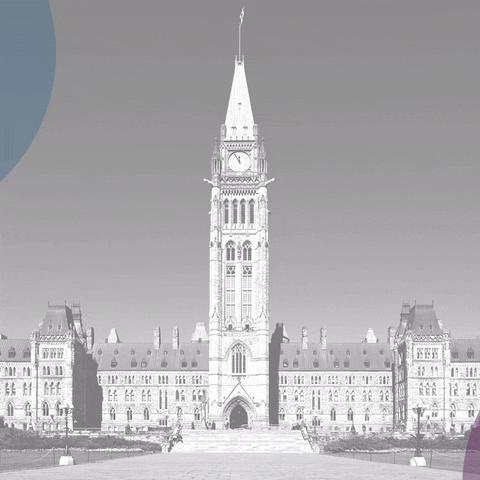 EqualVoiceCa giphyupload GIF