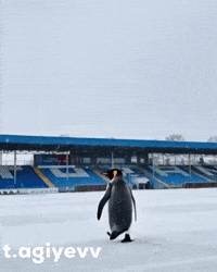 Turan GIF