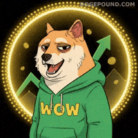 Shiba Inu Wow GIF by Doge Pound