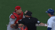 usa love GIF by MLB