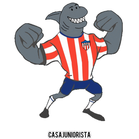 Junior De Barranquilla Shark Sticker by Vibrarte Colombia