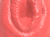 animation art GIF by Videotage