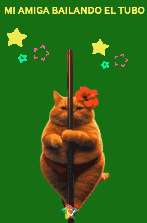 Feliz Disfrutando GIF by Murcianys LLC