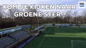 Heerlen Parkstad GIF by Groene ster
