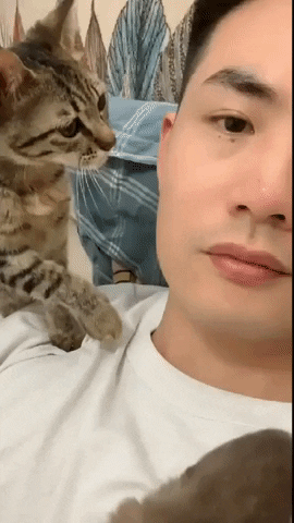 cuteanimalland giphyupload GIF