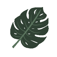 nancycasanova aesthetic plants monstera succulent Sticker