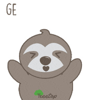 Sloth El Poco Sticker by Life In Treetop