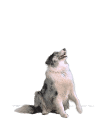 Fitnessclub Sticker by BE FIT!