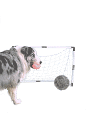 Fitnessclub Sticker by BE FIT!