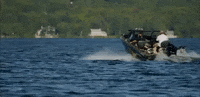 wisconsin GIF