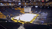 GIF by Golden State Warriors