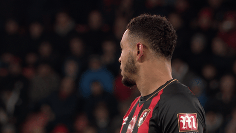 Football Sigh GIF by AFC Bournemouth