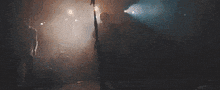 around the world and back concert GIF by State Champs