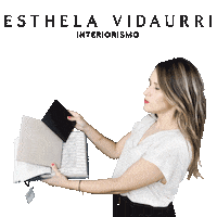 Decor Decoration Sticker by Esthela Vidaurri Interiorismo