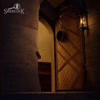 Spying Sherlock Holmes GIF by G5 games
