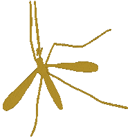 Republicadominicana Lasterrenas Sticker by El Mosquito