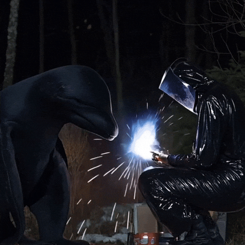 doopiidoo giphyupload forest dolphin sparks GIF