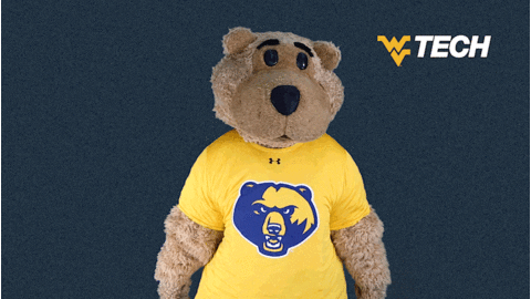 Great Job Yes GIF by WVU Tech Golden Bears