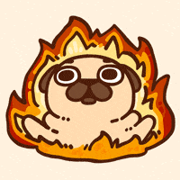 Fire Burn GIF by Puglie Pug