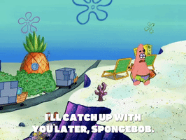 season 6 porous pockets GIF by SpongeBob SquarePants