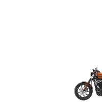 Los Angeles Bike Sticker by California Harley-Davidson