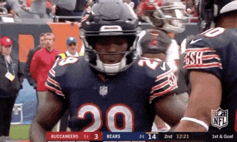 2018 Nfl Football GIF by NFL