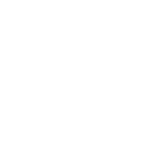 sunburnfestivalgoa giphyupload goa sunburn future is now Sticker