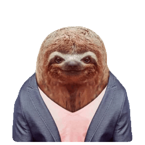 sloth STICKER by imoji
