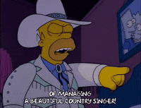 Accuse Season 3 GIF by The Simpsons