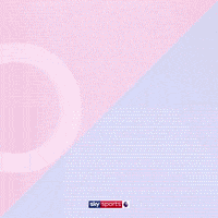 Goal Epl GIF by skysports